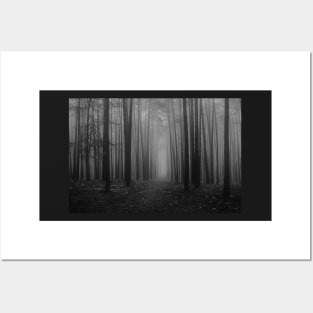 black and white foggy woods folklore taylor swift Posters and Art